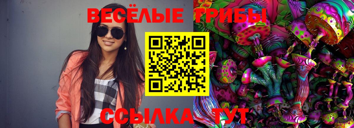 Галлюциногенные грибы GOLDEN TEACHER Киров